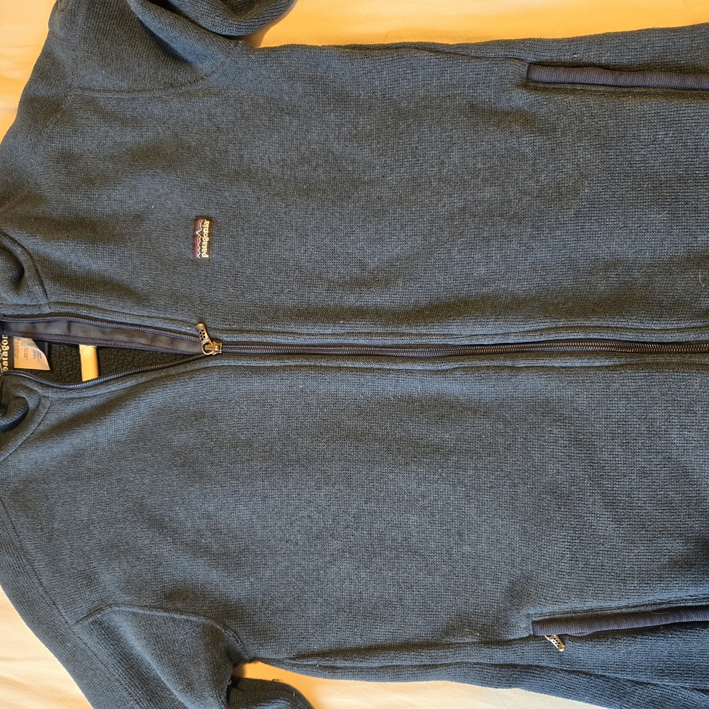 Patagonia Blue Full-Zip Better Sweater